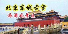 女人小穴视频中国北京-东城古宫旅游风景区